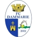 logo Dammarie-les-Lys