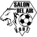 logo Salon de Provence