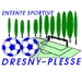 logo Dresny Plesse