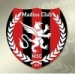 logo El Madina El Monawara