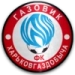 logo Gazovyk-KhGD