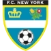 logo FC New York