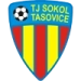logo Sokol Tasovice