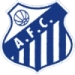 logo Aquidauanense Fc