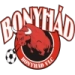 logo Bonyhád