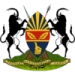 logo Harare City