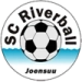 logo Riverball