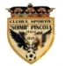 logo Soimii Pancota