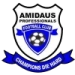 logo Amidaus Profs