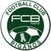 logo Facture Biganos