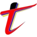 logo T-Team