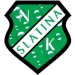 logo Slatina Radenci