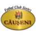 logo Sinteza Causeni