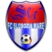 logo Slobozia Mare