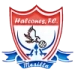 logo Halcones