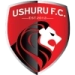 logo Ushuru