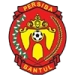 logo Persiba Bantul