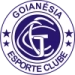 logo Goianésia