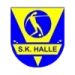 logo KSK Halle