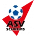 logo Schrems