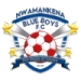 logo Blue Boys