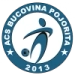 logo Bucovina Pojorata