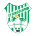 logo 12 Bingölspor