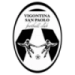 logo Vigontina San Paolo