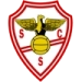 logo Salgueiros