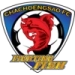 logo Chachoengsao