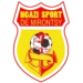 logo Ngazi Sport