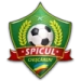 logo Spicul Chiscareni