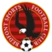logo Bedfont Sports