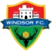 logo Windsor