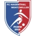 logo Hagenthal