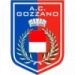 logo Gozzano