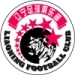 logo Liaoning FT