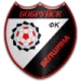 logo Belshina Bobruysk