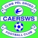 logo Caersws FC
