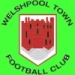 logo Welshpool Town