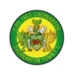 logo Caernarfon Town