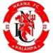 logo Nkana