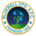 logo Bluebell United