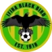 logo Ifira Black Bird