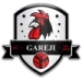 logo Gareji Sagarejo