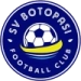 logo Botopasi