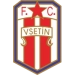 logo Vsetín