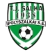 logo Salka