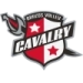 logo Brazos Valley Cavalry