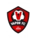 logo Vapor FC